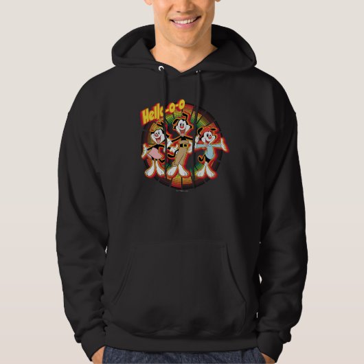 Animaniacs | Hallo-o-o Retro Equalizer Graphic Hoodie (Voorkant)