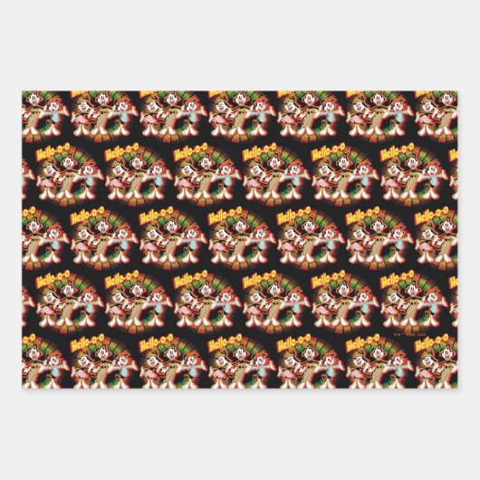 Animaniacs | Hallo-o-o Retro Equalizer Graphic Inpakpapier Vel (Voorkant 2)