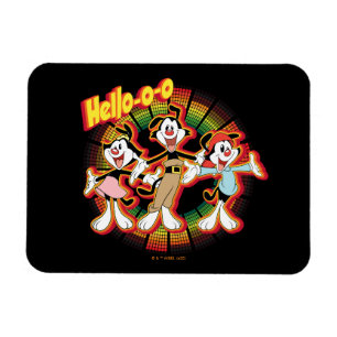 Animaniacs   Hallo-o-o Retro Equalizer Graphic Magneet