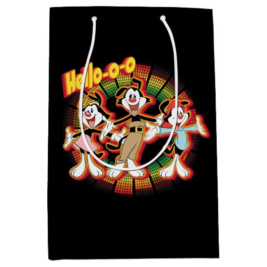 Animaniacs | Hallo-o-o Retro Equalizer Graphic Medium Cadeauzakje (Voorkant)