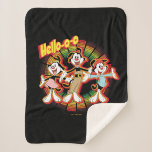 Animaniacs   Hallo-o-o Retro Equalizer Graphic Sherpa Deken