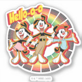 Animaniacs | Hallo-o-o Retro Equalizer Graphic Sticker (Voorkant)