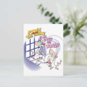 Animaniacs | Overname wereldbeeld Briefkaart (Staand voorkant)