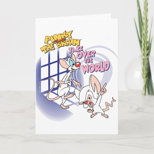 Animaniacs | Overname wereldbeeld Kaart (Voorkant)