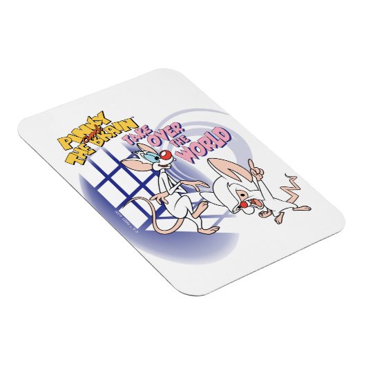 Animaniacs | Overname wereldbeeld Magneet (Rechterzijde)