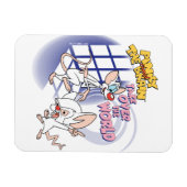 Animaniacs | Overname wereldbeeld Magneet (Horizontaal)