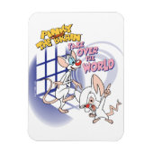 Animaniacs | Overname wereldbeeld Magneet (Verticaal)