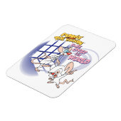 Animaniacs | Overname wereldbeeld Magneet (Linkerzijde)