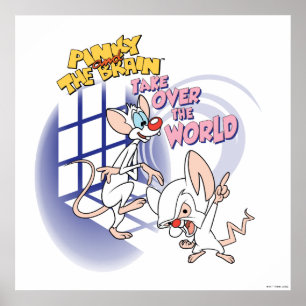 Animaniacs   Overname wereldbeeld Poster