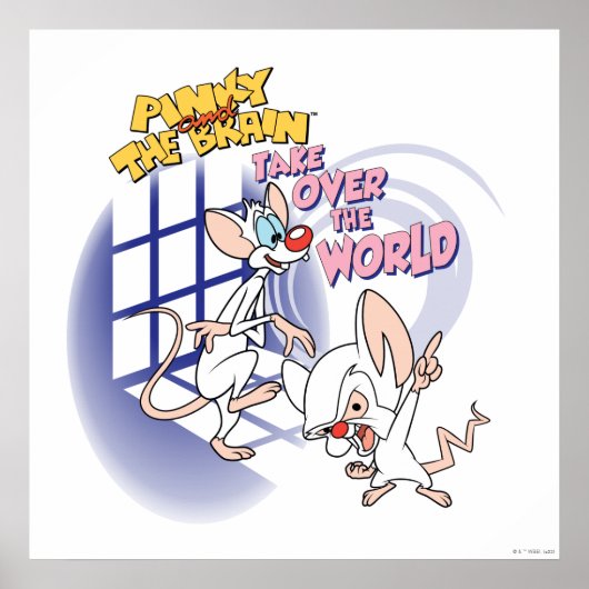 Animaniacs | Overname wereldbeeld Poster (Voorkant)