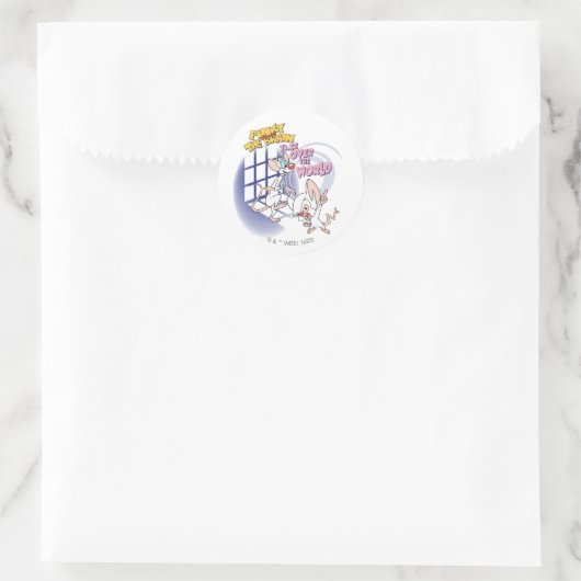 Animaniacs | Overname wereldbeeld Ronde Sticker (Tas)