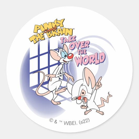 Animaniacs | Overname wereldbeeld Ronde Sticker (Voorkant)