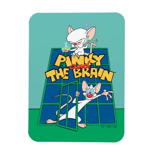 Animaniacs | Pinky and The Brain Cage Graphic Magneet (Verticaal)