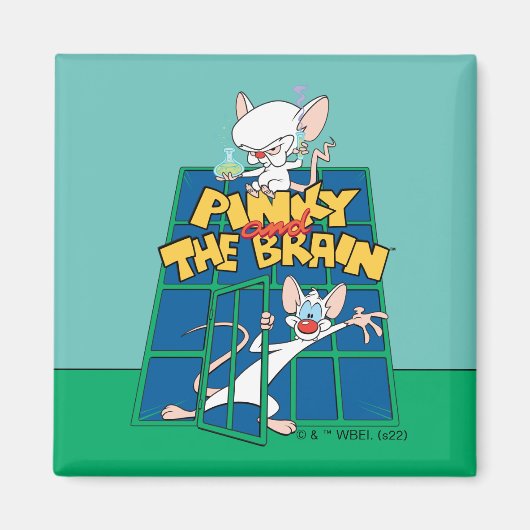 Animaniacs | Pinky and The Brain Cage Graphic Magneet (Voorkant)