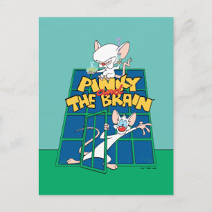 Animaniacs   Pinky en Brain Cage Graphic Briefkaart