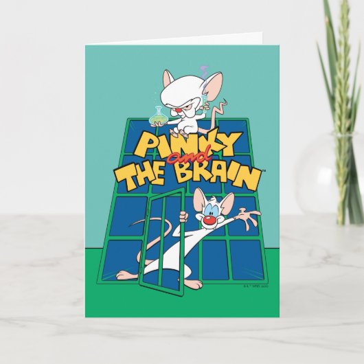 Animaniacs | Pinky en Brain Cage Graphic Kaart (Voorkant)