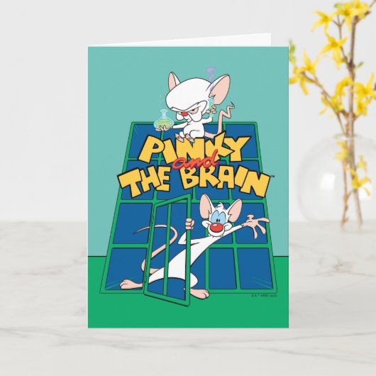 Animaniacs | Pinky en Brain Cage Graphic Kaart (Gele Bloem)