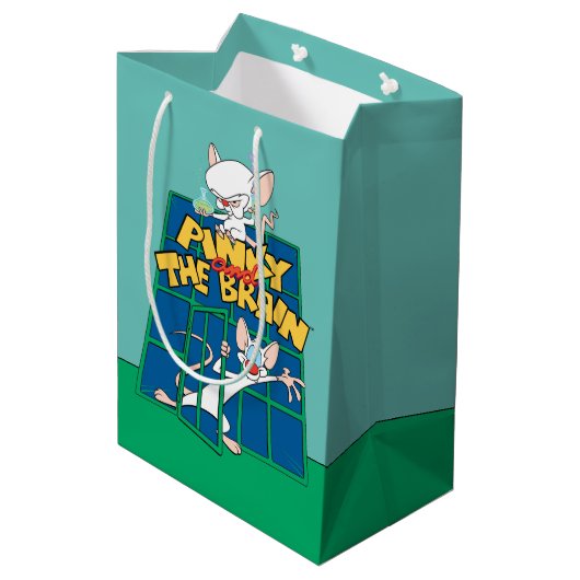 Animaniacs | Pinky en Brain Cage Graphic Medium Cadeauzakje (Achterkant Gekanteld)