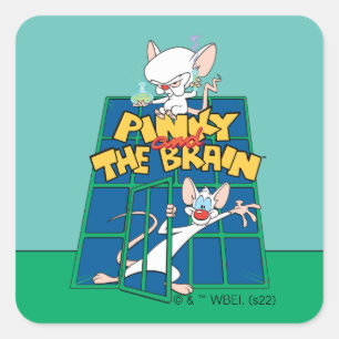 Animaniacs Pinky en Brain Cage Graphic Vierkante Sticker