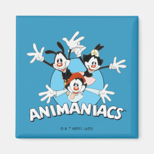 Animaniacs   Warner Siblings Arms Wide Graphic Magneet