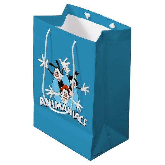 Animaniacs | Warner Siblings Arms Wide Graphic Medium Cadeauzakje (Voorkant Gekanteld)