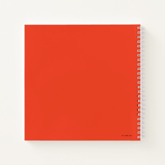 Animaniacs | Warner Siblings "No Evil" grafische k Notitieboek (Achterkant)