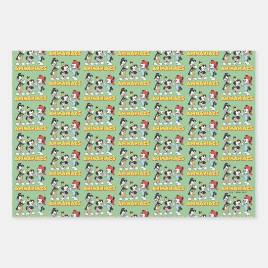 Animaniacs | Yakko, Dot en Wakko Standing Inpakpapier Vel (Voorkant 3)