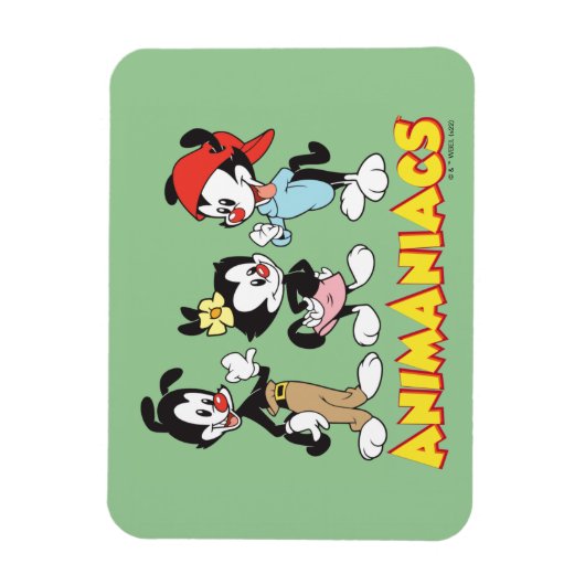 Animaniacs | Yakko, Dot en Wakko Standing Magneet (Verticaal)