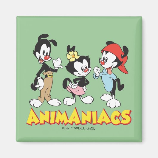Animaniacs | Yakko, Dot en Wakko Standing Magneet (Voorkant)