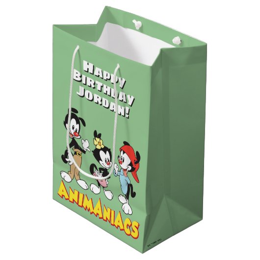Animaniacs | Yakko, Dot en Wakko Standing Medium Cadeauzakje (Voorkant Gekanteld)