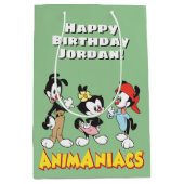 Animaniacs | Yakko, Dot en Wakko Standing Medium Cadeauzakje (Voorkant)
