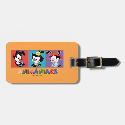 Animaniacs | Yakko, Dot, & Wakko Panel Graphic Bagagelabel (Voorkant horizontaal)