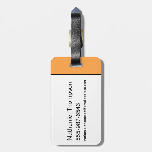 Animaniacs | Yakko, Dot, & Wakko Panel Graphic Bagagelabel (Achterkant verticaal)