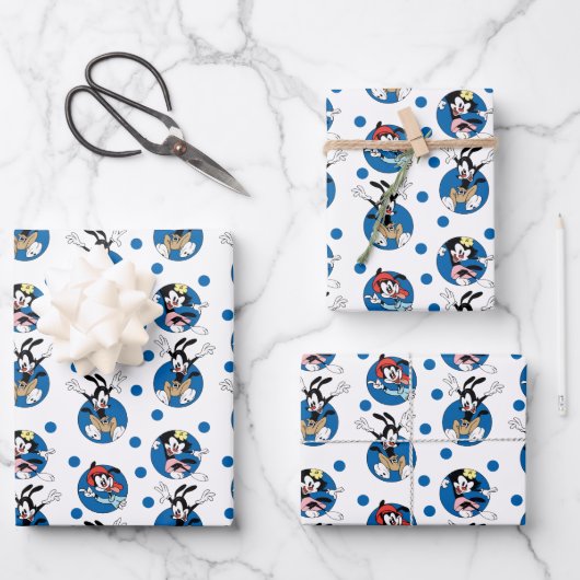 Animaniacs | Yakko, Wakko & Dot Circle Pattern Inpakpapier Vel (Voorkant)