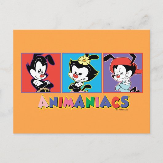 Animanias | Yakko, Dot, & Wakko Panel Graphic Briefkaart (Voorkant)