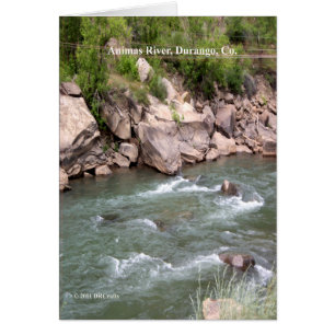 Animas de Rapids