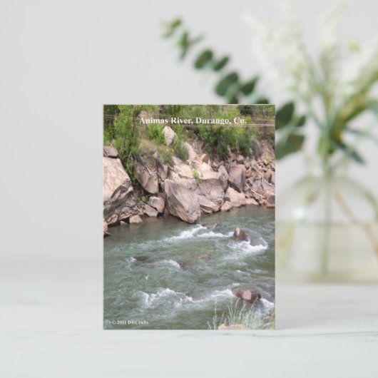 Animas de Rapids Briefkaart (Staand voorkant)