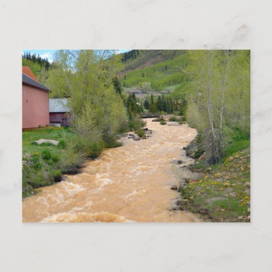 Animas River, Silverton, Colorado Briefkaart (Voorkant)