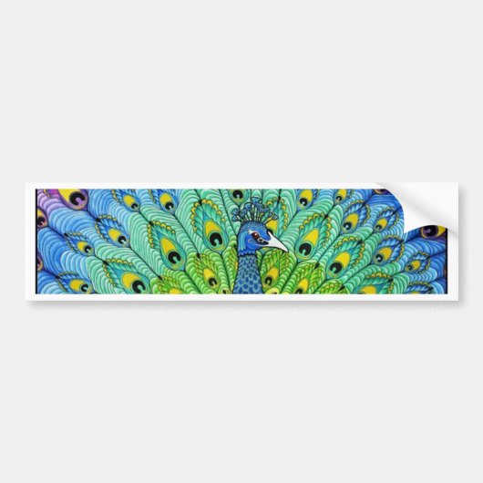 Animatie van peacock-vogels bumpersticker (Voorkant)