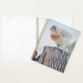 Anime Chicken on Stump Standard Size Planner (Display)