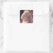 Anime Prinses Meisje Fantasy Kunst Vierkante Sticker (Tas)