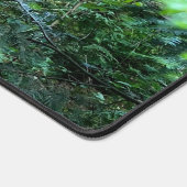 Anime, V Tuber VTuber, Forrest  Bureaumat (Hoek)