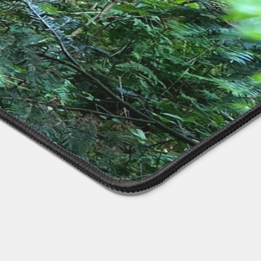 Anime, V Tuber VTuber, Forrest Bureaumat (Hoek)