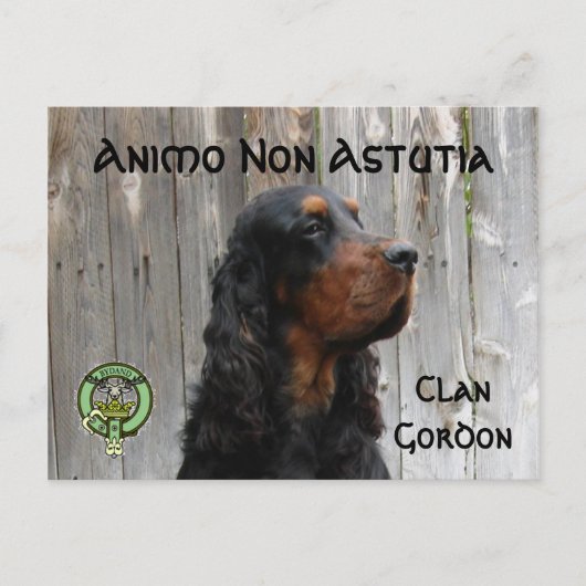 Animo Non Astutia, Gordon Setter Briefkaart (Voorkant)