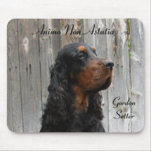 Animo Non Astutia, Gordon Setter Muismat