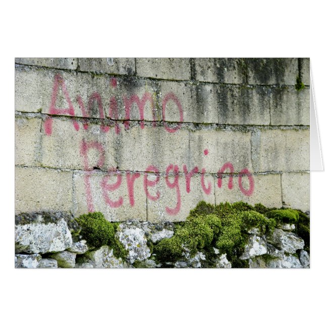 Animo Peregrino-kaart (Voorkant Horizontaal)