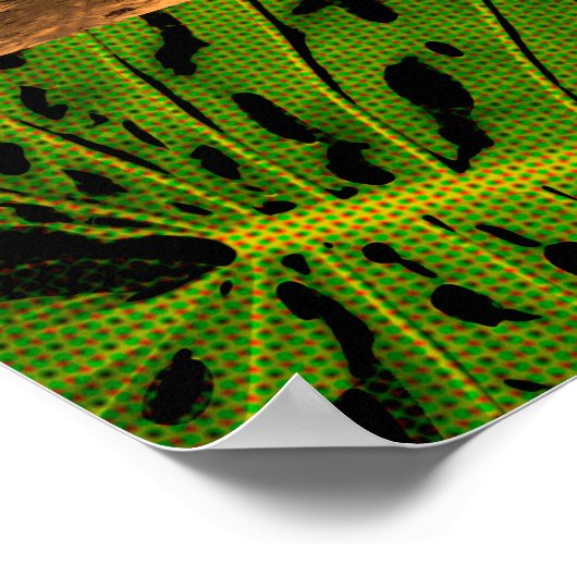 Anini Beach, Kauai Hawaiian Collage Poster (Hoek)