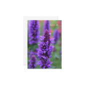 Anise Hyssop Note Kaart Notitiekaartje (Voorkant / Achterkant in situ)