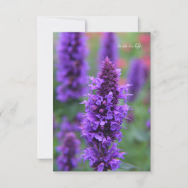 Anise Hyssop Note Kaart Notitiekaartje
