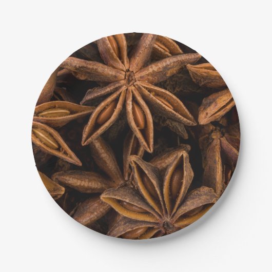 Anise Stars Pattern Papieren Bordje (Voorkant)